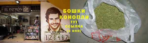 стаф Нефтекумск