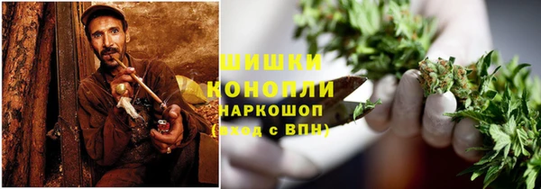 гашик Новокубанск