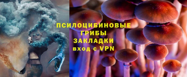 стаф Нефтекумск