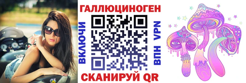 Псилоцибиновые грибы GOLDEN TEACHER  Порхов 